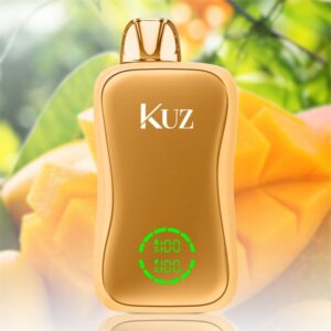 Kuz Flow 25000 Puffs Mango Slushie